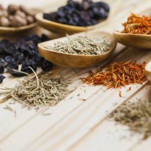 Products: White Sandalwood & Cedar Fragrance Oil - Candle Creations