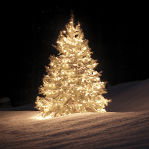 Christmas Wonderland Fragrance Oil - Candle Creations