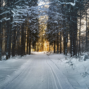 Products: Evening Snow Fragrance Oil - Candle Creations