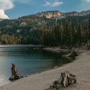 Driftwood Fragrance Oil - Candle Creations