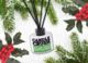Can't Believe It's Christmas Eve! Reed Diffuser