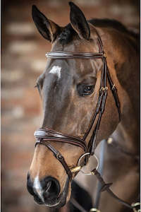Horse Equipment 1: LeMieux Kudos Competition Flash Bridle Havana