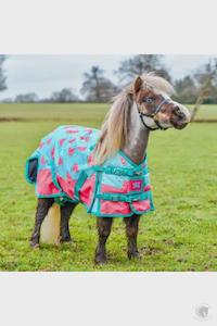 PONYO WATERMELON 100GM