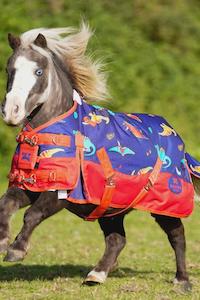 Ponyo Dinky Dino Detach-A-Neck 0GM