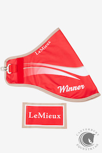 Lemieux 1: LeMieux Hobby Horse Winners Rug Red