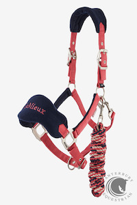 Lemieux 1: LeMieux Vogue Headcollar & Leadrope Cranberry