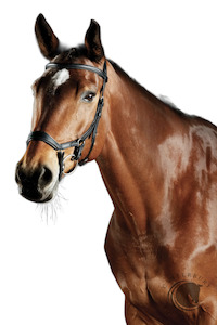 COLLEGIATE COMFITEC DAINA BRIDLE BLACK