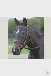 Bridles Reins Bits: Kincade Flash Bridle III