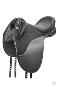 Wintec Pro Stock Hart