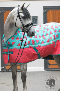 PONYO Watermelon Stable Rug 250gm with Detachable Neck
