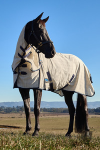 New Arrivals: WEATHERBEETA COTTON SUMMER SHEET LITE COMBO BEIGE/NAVY/FOREST GREEN