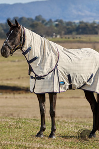 WEATHERBEETA COTTON SUMMER SHEET COMBO BEIGE/NAVY/BURGUNDY