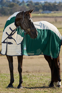 New Arrivals: WEATHERBEETA COTTON AIRSTREAM COMBO BEIGE/FOREST GREEN/NAVY