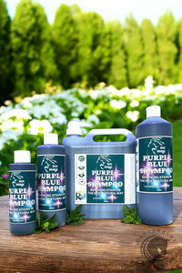 Eco Horse Purple Blue Shampoo