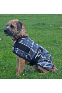 Dog Rugs: Cavallino Badminton Dog Coat