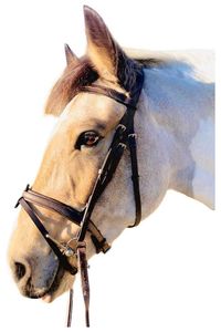 Étoile Comfort Bridle with Flat Padded Browband