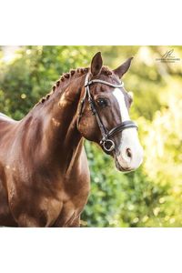 Lumiere 'Anastasia' Convertible Bridle - Brown