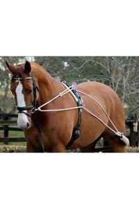 Lunging: Zilco Lunge Training System