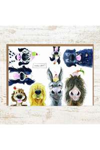 Gifts: More Cake - A6 Fun Dogs, Donkey and Pony Birthday Card