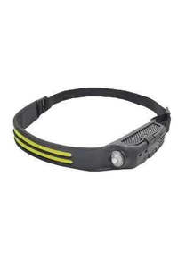 All Rider Related: Woof Wear Head Torch