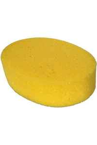 Brushes: Open Pore Sponge