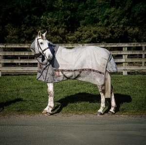 Horse Summer Rugs: 2025 Brown Nylon Mesh Detachable