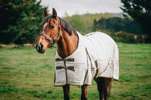 Horse Summer Rugs: White Summer Canvas Detachable NZ 4.9 & 5.0