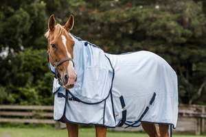 Horse Summer Rugs: Baby Blue Mesh Detachable with Tail Bag