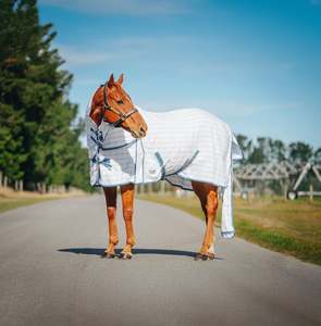 Horse Summer Rugs: Light Blue & Grey Check Tail Bag Summer Detachable