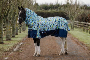 1200D No Fill Kiwi Bird Combo NZ 6.0