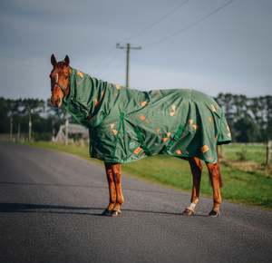 Horse Between Rugs: 1200D 100g Pop The Champers Combo