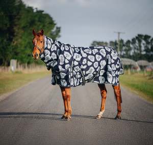 Horse Between Rugs: 1200D 100g Speech Bubble Combo