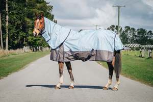 Horse Between Rugs: 1200D No Fill Light Blue/Grey Combo