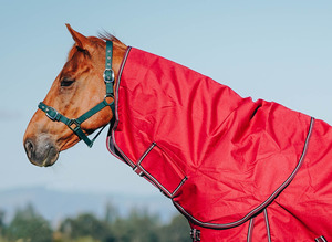 Spare Neck Rugs – NZ 4.3 – 5.6