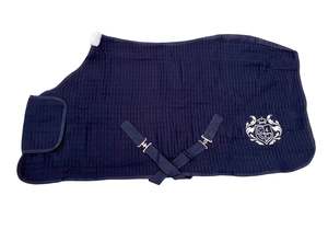 WickAway Navy Trophy Rug