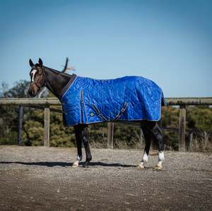 Horse Stable Rugs: 100g Royal Blue Doona