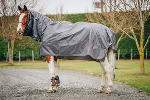 Horse Stable Rugs: Rain Sheet Cover Up
