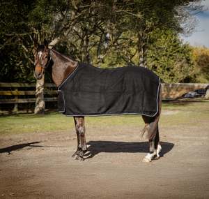 Horse Stable Rugs: Wool Trophy Rugs