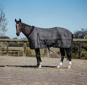 Horse Stable Rugs: 200g Grey Doona