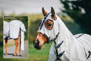 Pony Summer Rugs: Blue & Grey Check Summer Show Set (Pony)