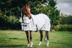 Pony Summer Rugs: Summer Combo with Tail Bag (Pony) NZ 3.9
