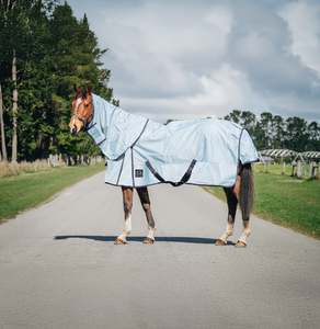 Pony Between Rugs: 1200D No Fill Light Blue Combo (Pony)