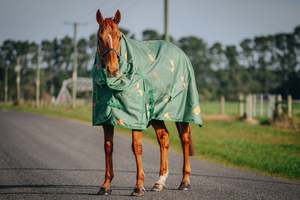 1200D 100g Pop The Champers Rug Only (Pony)