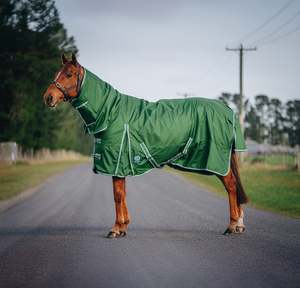 Pony Winter Rugs: 1680D 200g Forest Green Combo (pony)