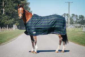 Wool Navy & Green Rug Only (Pony)