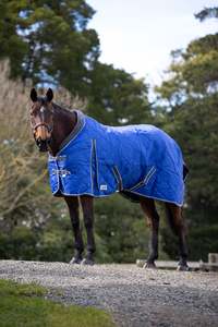 100g Royal Blue Doona (Pony)