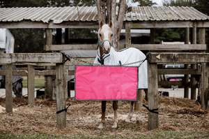 Pink Stable Guards
