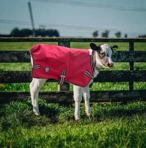 Calf Covers: 100g Red Calf Cover