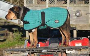 Green Canvas Dog Coats