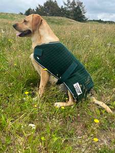 WickAway Hunter Green Dog Coats